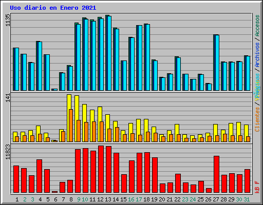 Uso diario en Enero 2021