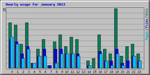 Hourly usage for January 2013
