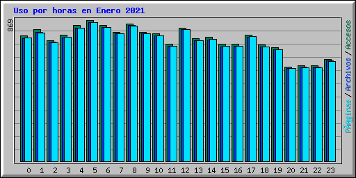 Uso por horas en Enero 2021