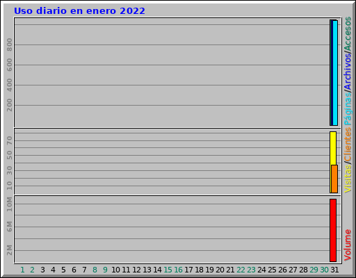 Uso diario en enero 2022 Uso diario en enero 2022