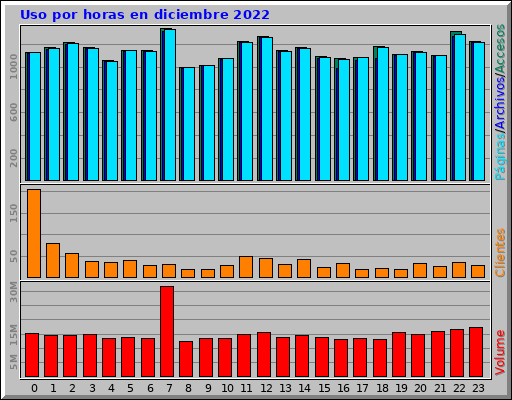 Uso por horas en diciembre 2022