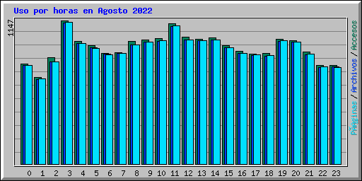Uso por horas en Agosto 2022